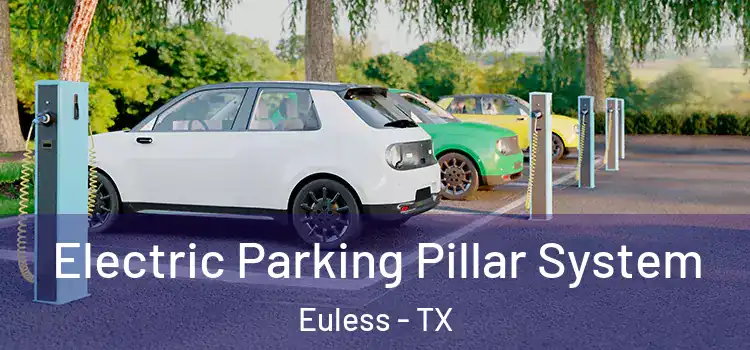 Electric Parking Pillar System Euless - TX