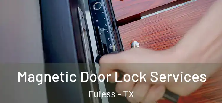 Magnetic Door Lock Services Euless - TX
