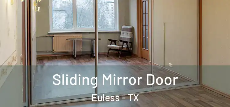  Sliding Mirror Door Euless - TX